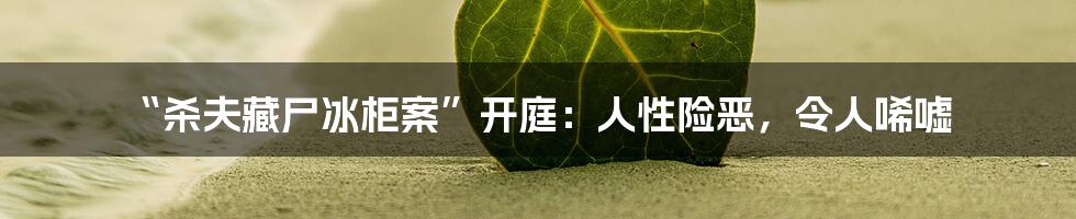 “杀夫藏尸冰柜案”开庭:人性险恶,令人唏嘘
