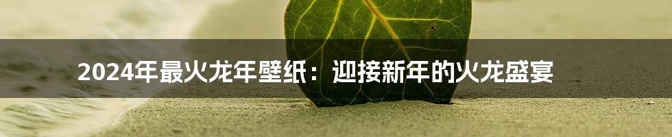 2024年最火龙年壁纸:迎接新年的火龙盛宴