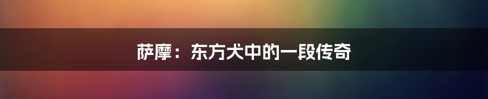萨摩：东方犬中的一段传奇