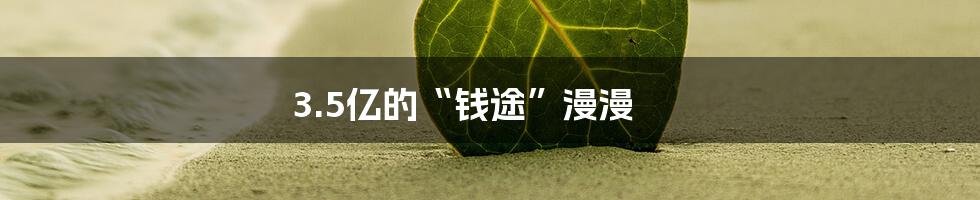 3.5亿的“钱途”漫漫