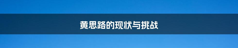 黄思路的现状与挑战