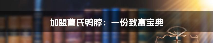 加盟曹氏鸭脖：一份致富宝典