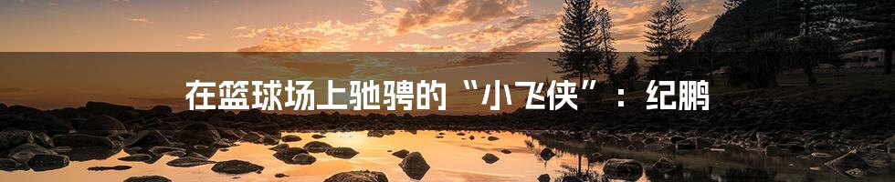 在篮球场上驰骋的“小飞侠”:纪鹏