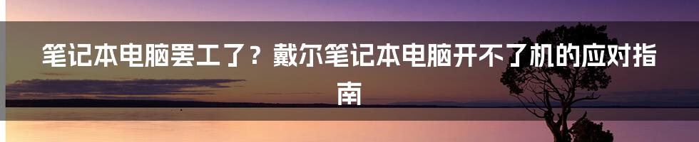 笔记本电脑罢工了?戴尔笔记本电脑开不了机的应对指南