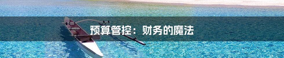 预算管控:财务的魔法