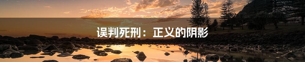 误判死刑:正义的阴影