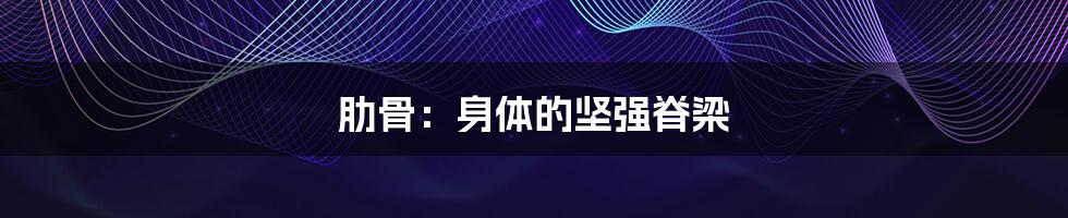 肋骨:身体的坚强脊梁