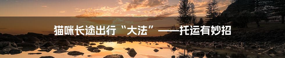 猫咪长途出行“大法”——托运有妙招