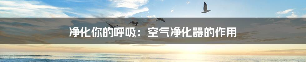 净化你的呼吸:空气净化器的作用