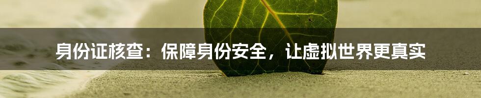 身份证核查：保障身份安全，让虚拟世界更真实