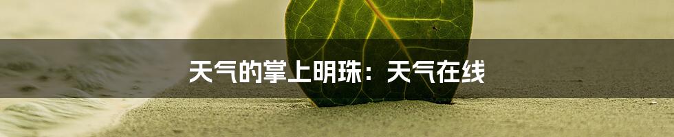 天气的掌上明珠：天气在线