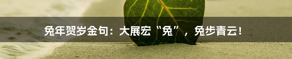 兔年贺岁金句:大展宏“兔”,兔步青云!