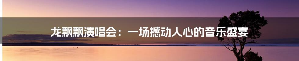 龙飘飘演唱会:一场撼动人心的音乐盛宴