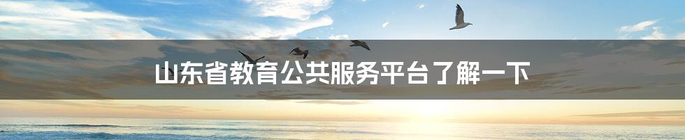 山东省教育公共服务平台了解一下