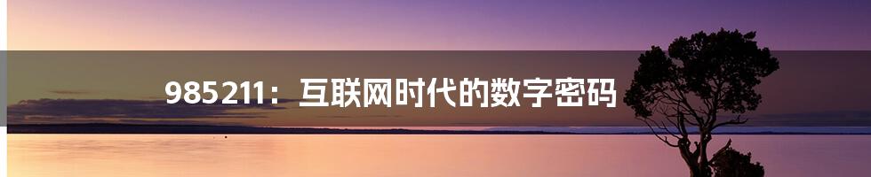 985211:互联网时代的数字密码