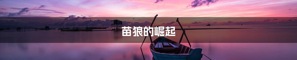 苗狼的崛起