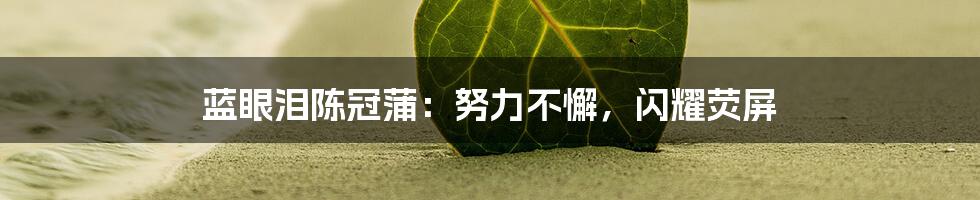 蓝眼泪陈冠蒲:努力不懈,闪耀荧屏