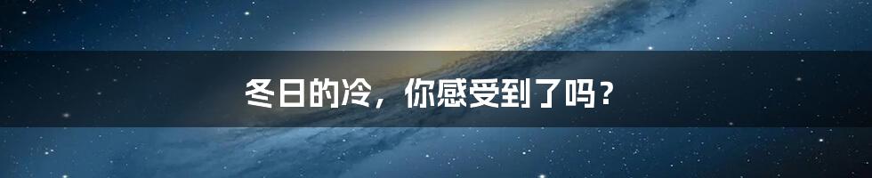 冬日的冷,你感受到了吗?