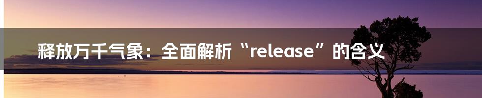 释放万千气象：全面解析“release”的含义