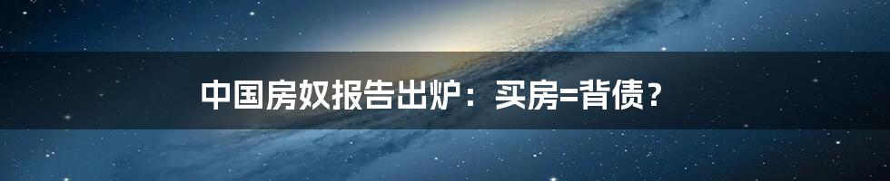 中国房奴报告出炉：买房=背债？