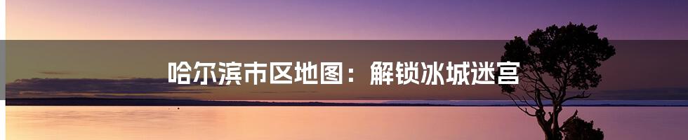 哈尔滨市区地图：解锁冰城迷宫