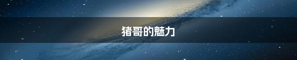 猪哥的魅力