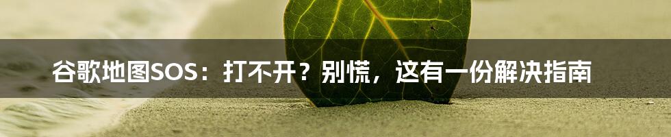 谷歌地图SOS：打不开？别慌，这有一份解决指南