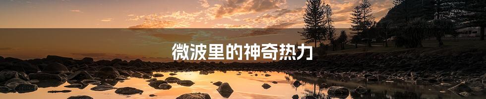 微波里的神奇热力