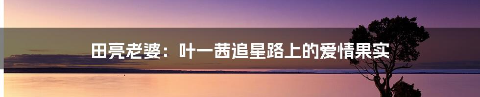 田亮老婆：叶一茜追星路上的爱情果实