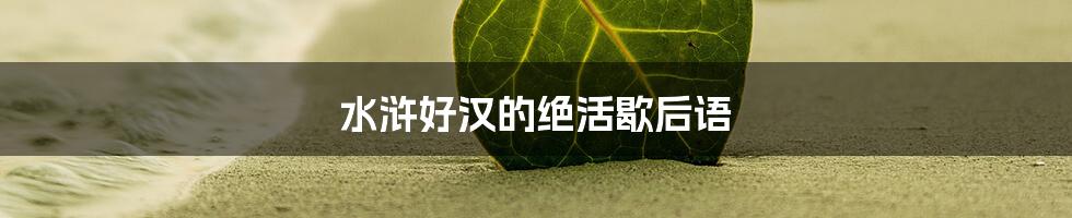水浒好汉的绝活歇后语