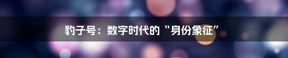 豹子号：数字时代的“身份象征”