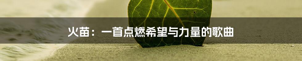 火苗:一首点燃希望与力量的歌曲