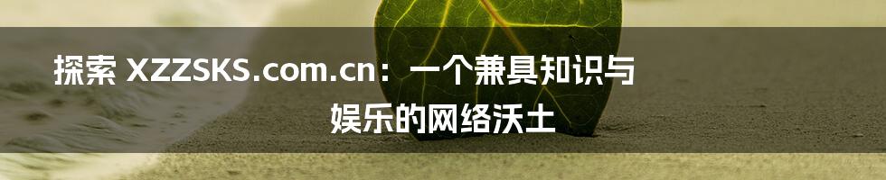 探索 XZZSKS.com.cn：一个兼具知识与娱乐的网络沃土