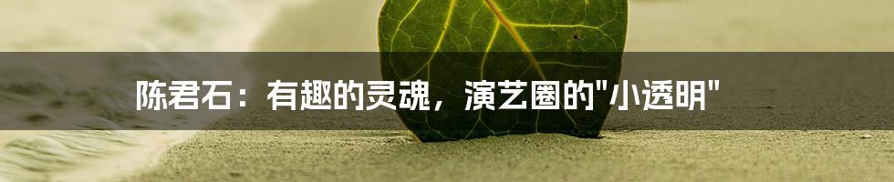 陈君石：有趣的灵魂，演艺圈的"小透明"