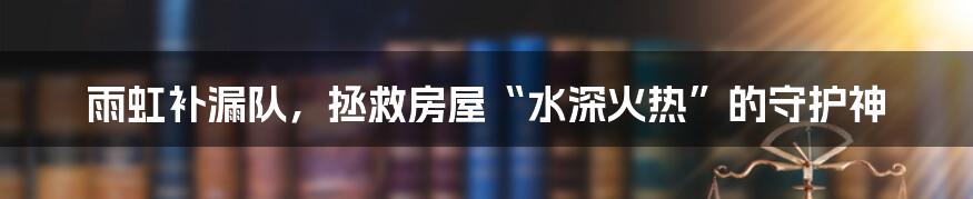 雨虹补漏队，拯救房屋“水深火热”的守护神