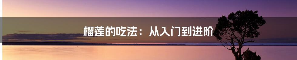榴莲的吃法：从入门到进阶