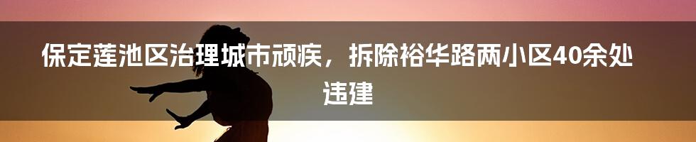 保定莲池区治理城市顽疾，拆除裕华路两小区40余处违建