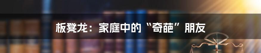 板凳龙：家庭中的“奇葩”朋友