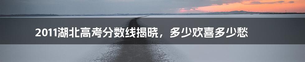 2011湖北高考分数线揭晓,多少欢喜多少愁