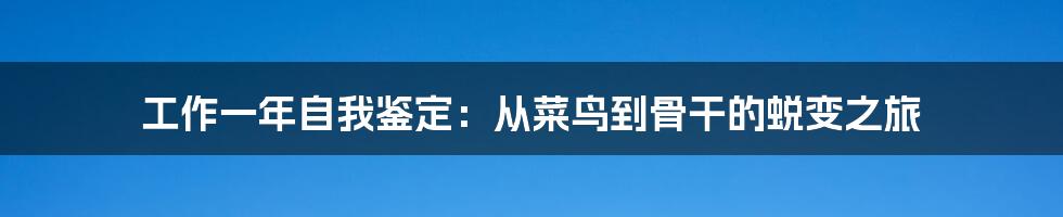 工作一年自我鉴定：从菜鸟到骨干的蜕变之旅