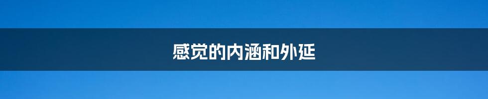 感觉的内涵和外延