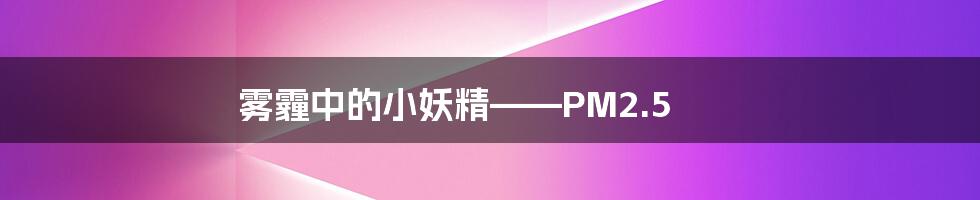 雾霾中的小妖精——PM2.5