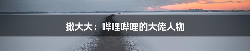 撒大大:哔哩哔哩的大佬人物
