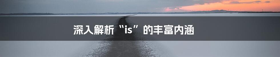 深入解析“is”的丰富内涵