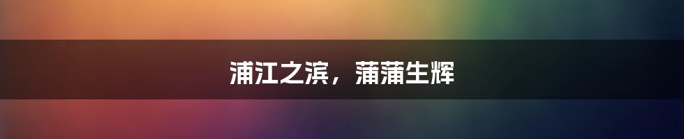 浦江之滨,蒲蒲生辉