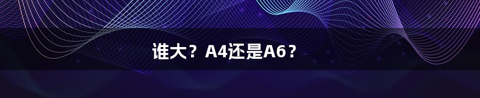 谁大?A4还是A6?
