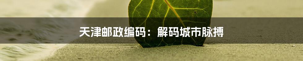 天津邮政编码：解码城市脉搏