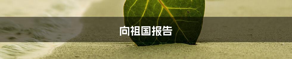 向祖国报告