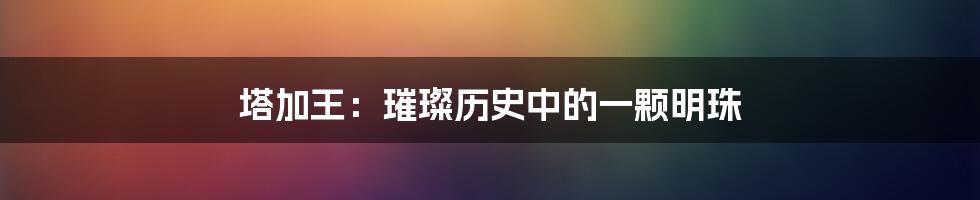 塔加王：璀璨历史中的一颗明珠
