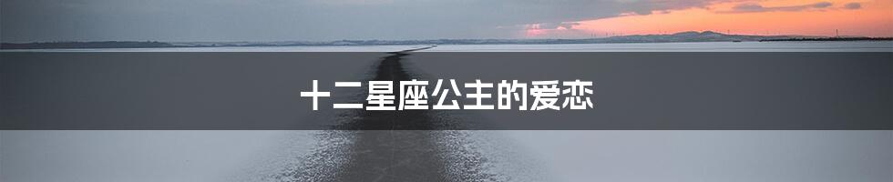 十二星座公主的爱恋